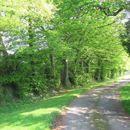 Ballinclea House Bed And Breakfast Brittas Bay Luaran gambar
