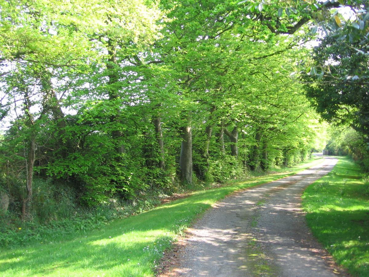Ballinclea House Bed And Breakfast Brittas Bay Luaran gambar